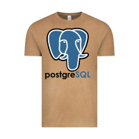Vintage Camel Postgresql Vintage Tee - linhVisuals