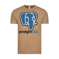 Vintage Coffee Postgresql Vintage Tee - linhVisuals