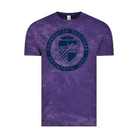 Cloud Purple Regis University Vintage Tee - linhVisuals