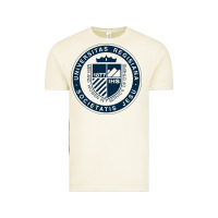 Vintage Arctic Regis University Vintage Tee - linhVisuals