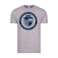 Vintage Zinc Regis University Vintage Tee - linhVisuals
