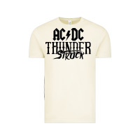 Vintage Arctic thunderstruck Vintage Tee - linhVisuals