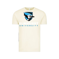 Vintage Arctic elmhurst university Vintage Tee - linhVisuals
