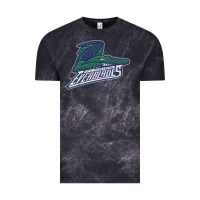 Cloud Black the-florida-everblades-merch Vintage Tee - linhVisuals