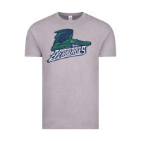 Vintage Zinc the-florida-everblades-merch Vintage Tee - linhVisuals