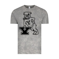 Cloud Rock yale vintage Vintage Tee - linhVisuals