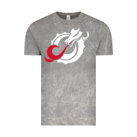 Cloud Rock MSUM Dragons, Gear Vintage Tee - linhVisuals