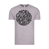 Vintage Zinc noel gallagher's high flying birds classic Vintage Tee - linhVisuals