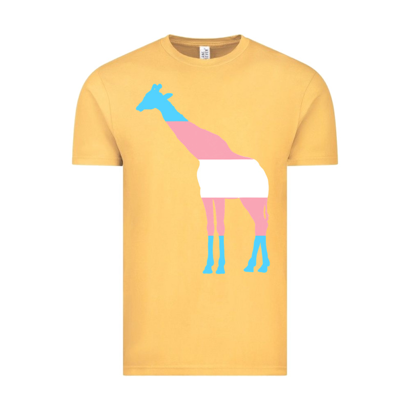 Transgender Flag Ftm Mtf Trans Pride Vintage Tee by linhVisuals | Teevron