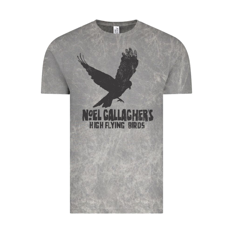 Noel Gallagher's High Flying Birds Classic Vintage Tee by linhVisuals | Teevron