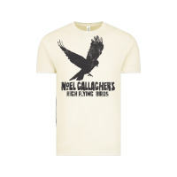Vintage Arctic noel gallagher's high flying birds classic Vintage Tee - linhVisuals
