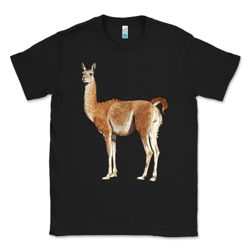 Guanaco Llama Classic Tee by LillyAllenDesigns | Teevron