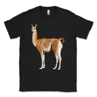 Black guanaco llama Classic Tee - LillyAllenDesigns