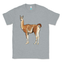 Heather Grey guanaco llama Classic Tee - LillyAllenDesigns