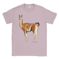 Lilac guanaco llama Classic Tee - LillyAllenDesigns
