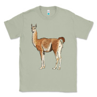 Matcha guanaco llama Classic Tee - LillyAllenDesigns