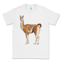 White guanaco llama Classic Tee - LillyAllenDesigns