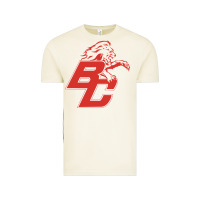 Vintage Arctic boyd county high school baseball Vintage Tee - linhVisuals