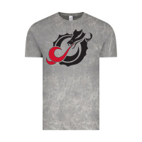 Cloud Rock MSUM Dragons, Gear Vintage Tee - linhVisuals