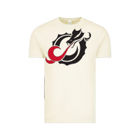 Msum Dragons, Gear Vintage Tee | Teevron
