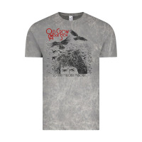 Cloud Rock old crow medicine show Vintage Tee - linhVisuals