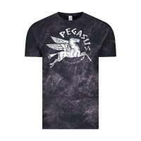 Cloud Black ivory pegasus Vintage Tee - linhVisuals