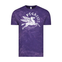 Cloud Purple ivory pegasus Vintage Tee - linhVisuals