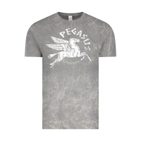 Cloud Rock ivory pegasus Vintage Tee - linhVisuals