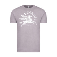 Vintage Zinc ivory pegasus Vintage Tee - linhVisuals
