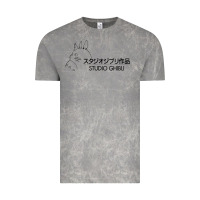 Cloud Rock studio ghibli2 Vintage Tee - linhVisuals