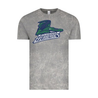 Florida Everblades Vintage Tee | Teevron