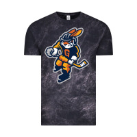 Cloud Black greenville swamp rabbits Vintage Tee - linhVisuals