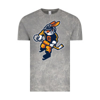 Cloud Rock greenville swamp rabbits Vintage Tee - linhVisuals