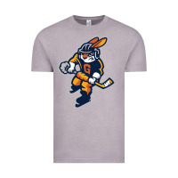 Greenville Swamp Rabbits Vintage Tee | Teevron