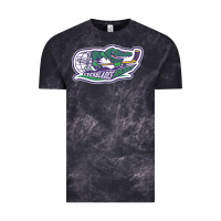 Cloud Black florida everblades Vintage Tee - linhVisuals
