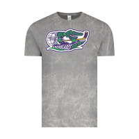 Cloud Rock florida everblades Vintage Tee - linhVisuals