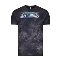 Cloud Black florida everblades Vintage Tee - linhVisuals