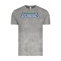 Cloud Rock florida everblades Vintage Tee - linhVisuals