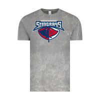 Cloud Rock south carolina stingrays Vintage Tee - linhVisuals