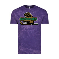 Cloud Purple utah grizzlies Vintage Tee - linhVisuals