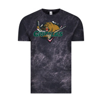 Cloud Black utah grizzlies Vintage Tee - linhVisuals