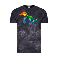 Cloud Black all michigan great lakes rainbow colors Vintage Tee - linhVisuals