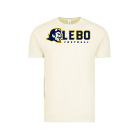 Vintage Arctic mt lebanon football Vintage Tee - linhVisuals