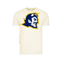 Vintage Arctic mt lebanon high school Vintage Tee - linhVisuals