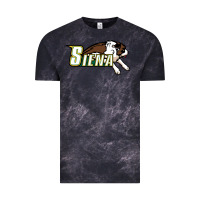 Cloud Black The Siena Saints Vintage Tee - linhVisuals