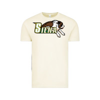 Vintage Arctic The Siena Saints Vintage Tee - linhVisuals