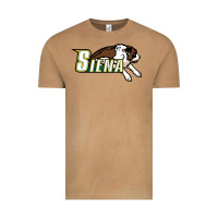 Vintage Camel The Siena Saints Vintage Tee - linhVisuals