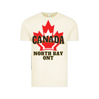 Vintage Arctic north bay ontario on a cool Vintage Tee - linhVisuals
