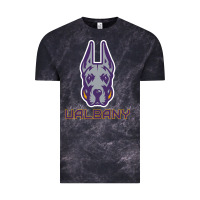 Cloud Black Ualbany Great Danes Vintage Tee - linhVisuals