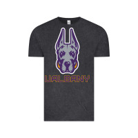 Vintage Black Ualbany Great Danes Vintage Tee - linhVisuals